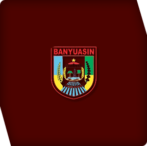 img-banyuasin
